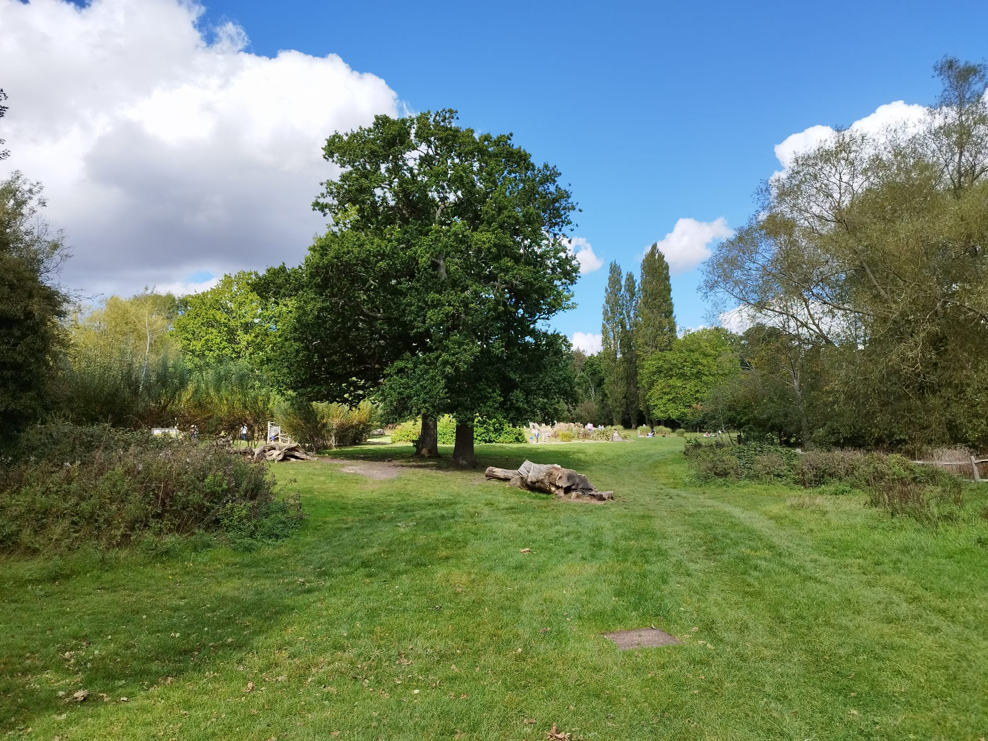Tunbridge Wells Park